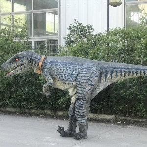 Dinosaur Costume Products (DC-01-04)