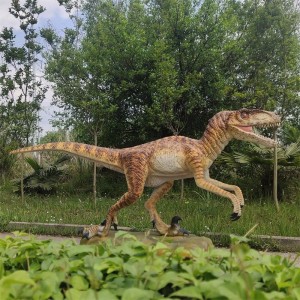 Animatronic Dinosaur Velociraptor Model Products (AD-10-15)