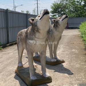 Cung cấp mô hình sói-Một loài chó đã tuyệt chủng được tạo ra để triển lãm