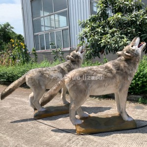 Suministro de modelo de lobo: se hace un canino extinto para exhibición