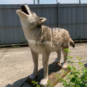 वुल्फ मॉडेल सप्लाय- प्रदर्शनासाठी नामशेष झालेला कुत्रा बनवला आहे