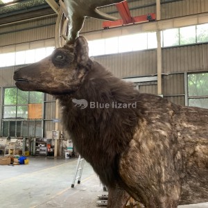 Realizáronse modelos de cervos xigantes artificiais para coñecer xente nos museos