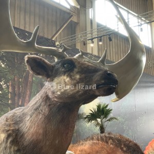 Artificial giant deer models were made out to meet people in museums