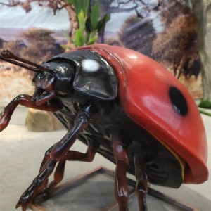 Insect Plus Models Big Insect Models Products Show
