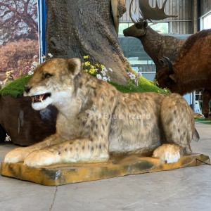 Levendig Smilodon, Sabeltandkat gesimuleerd model voor musea en dierentuinen