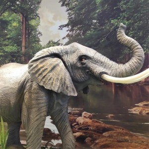 Yuqori Simulyatsiyada moslashtirilgan Animatronic Zoo Animal modeli