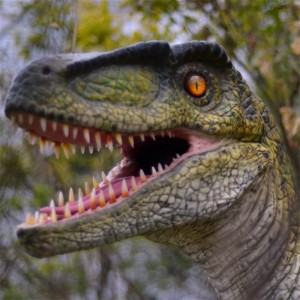 Modelli personalizzati di Velociraptor di dinosauri