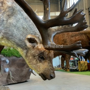 Muchos modelos de animales salvajes se fabrican para exposiciones: el modelo de reno
