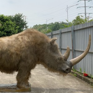 Els models de rinoceront llanós simulats es van fer a mida de nou després de 34.000 anys