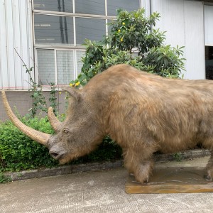 Simulated woolly rhino models were custom made-Lifelike again after 34,000 years