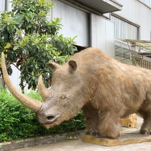 Els models de rinoceront llanós simulats es van fer a mida de nou després de 34.000 anys