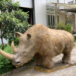 Simulated woolly rhino models were custom made-Lifelike again after 34,000 years