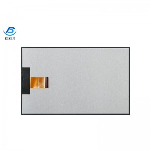 8.0inch/8.9inch TFT LCD Display for electronic consumer products