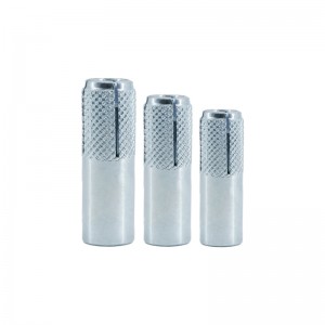 Ƙarfe Ƙarfe Gina Gina Gina WZP Drop-in Anchor Bolt
