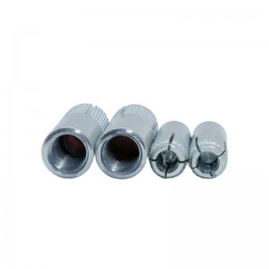 Ƙarfe Ƙarfe Gina Gina Gina WZP Drop-in Anchor Bolt