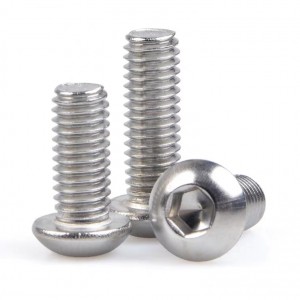 TS ISO7380 Hex Socket Button Head Security Screws - Anti - Tamper