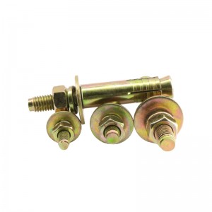 Hoʻokomo ʻia ʻo Elevator Expansion Anchor Bolt - YZP