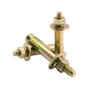 Hoʻokomo ʻia ʻo Elevator Expansion Anchor Bolt - YZP