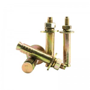 Hoʻokomo ʻia ʻo Elevator Expansion Anchor Bolt - YZP