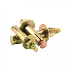 Hoʻokomo ʻia ʻo Elevator Expansion Anchor Bolt - YZP