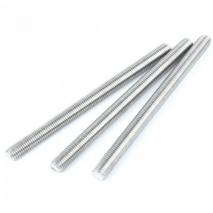 High Precision Stainless Steel Acme Threaded Rod Bar Bolt Din975 Din976