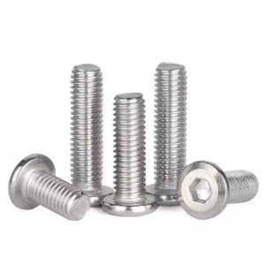High Quality 304 Stainless Steel Flat Head Chamfered Hex Socket Machine Screw Truss Head Pan Head Screw for Assemble Furniture