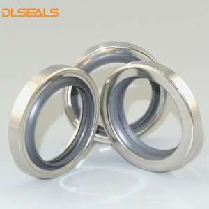 DLSEALS Hydraulic Stainless Steel PTFE Doble nga ngabil Oil Seals