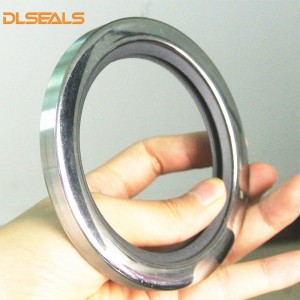 DLSEALS Garnituri hidraulice din oțel inoxidabil PTFE cu două buze