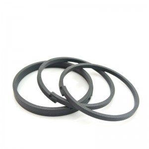 DLSEALS PTFE Piston Ring Wear Ring For Compressor