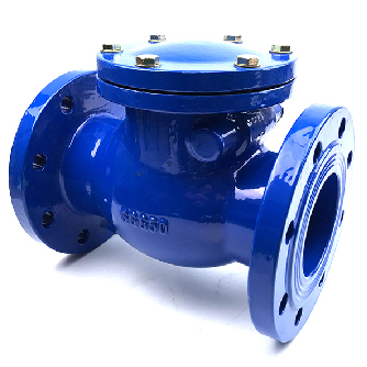 Fast delivery Dual Check Valve - BS5153 Swing Check Valve – Dongsheng