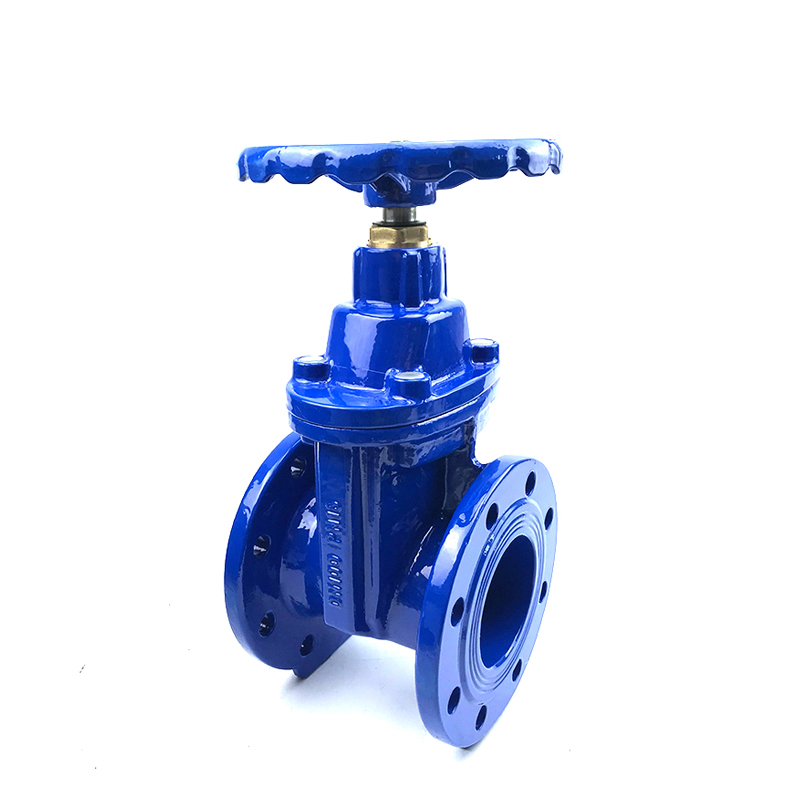 China Manufacturer for Foot Valve With Strainer - DIN3352-F4 New Style Resilient Gate Valve – Dongsheng