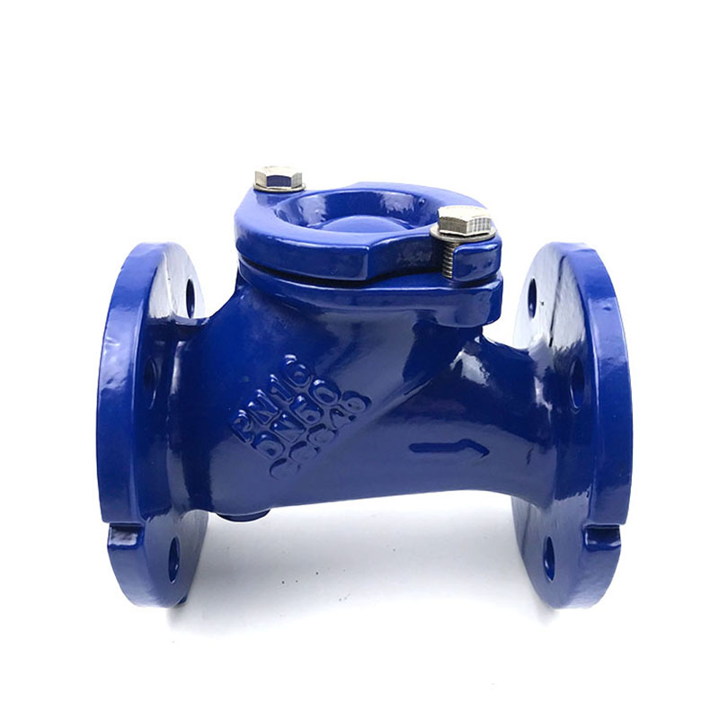 2021 New Style Swing Check Valve With Counterweight - Flanged Ball Check Valve – Dongsheng