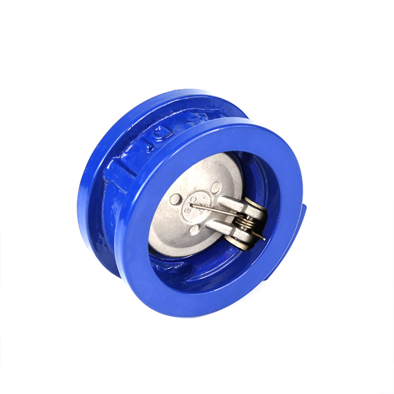 China Factory for Wafer Style Check Valve - Cast Iron Single Disc Swing Check Valve – Dongsheng