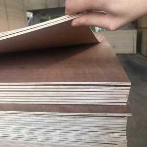 Factory Wholesale Veneer Sheets Wood - Red Bintangor Plywood For Furniture Packing Industry – Dongstar