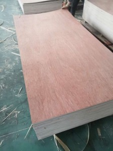 Red Bintangor Plywood For Furniture Packing Industry