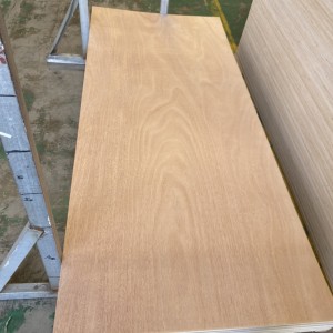 Door Skin Plywood Thin Thickness 3X7 ft Plywood