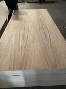 Parota Fancy Plywood for Mexico Spain Soth American Market