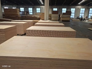 Furniture Grade Pine Plywood
