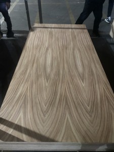 Parota Fancy Plywood for Mexico Spain Soth American Market
