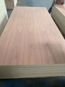 Pencil Cedar Plywood 3mm 5mm 12mm 15mm 18mm For Decoration Furniture Making Europe Market Plywood