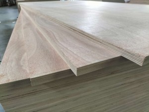 Okumen Plywood For Furniture Industry Packing