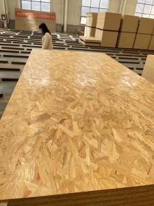 PINE Oriented Strand Board OSB3 Flakeboards