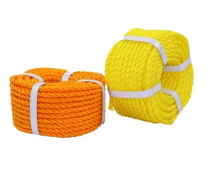 Famous Wholesale 6 Mm Rope Factories Pricelist - 3 or 4 twisted PE rope 3mm to 22 mm for aquaculture   – Dongyuan