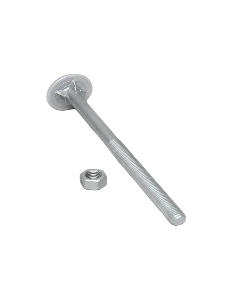 DS Hot dip galvanized steel round head Timber bolt with nut  For Wood Industry