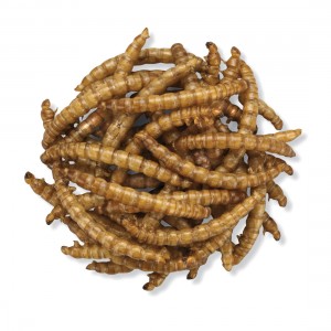 Dpat Queen Natural Dried Mealworms 283g