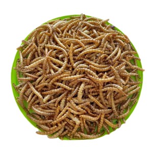 DpatQueen Bird Dried Mealworm Topping