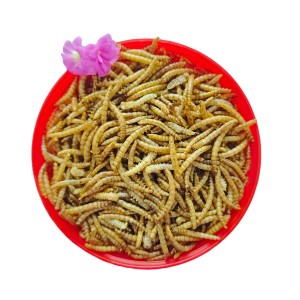 Bulk purchase of economically efficient and sustainable dried yellow mealworms