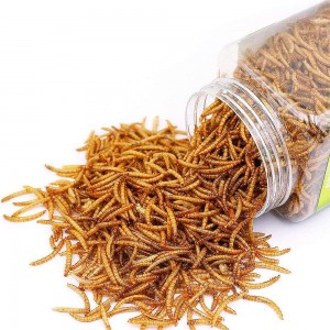 Proteine ​​di insetti nutrienti e convenienti per i vermi gialli secchi della farina