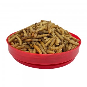 Good Quality Black Soldier Fly Larvae Microwave Dryer Quickly Sterilizer and Dry