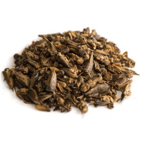 Discover the Health Benefits of Our Crunchy Dried Crickets